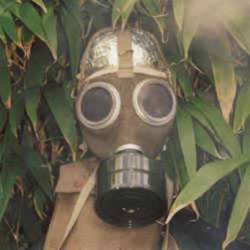 Haystacks Balboa : Detoxified